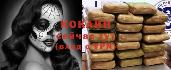 ECSTASY Магас
