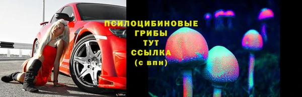 амф Ладушкин