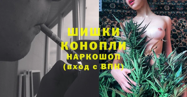 амф Ладушкин