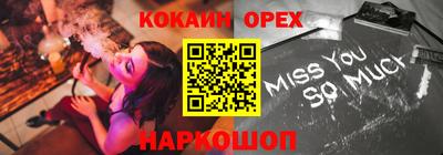 индика Камышлов