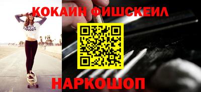 индика Камышлов