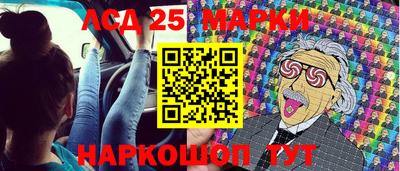 индика Камышлов