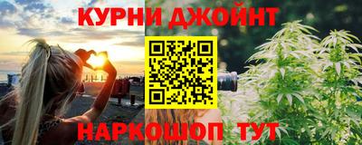 индика Камышлов