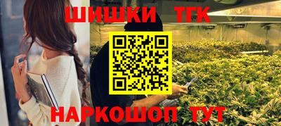 индика Камышлов