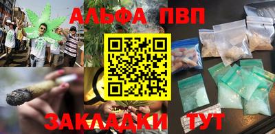 индика Камышлов