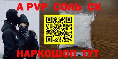 индика Камышлов