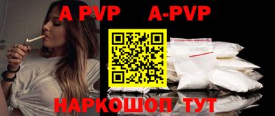 индика Камышлов