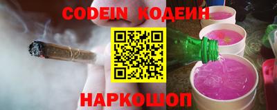 индика Камышлов