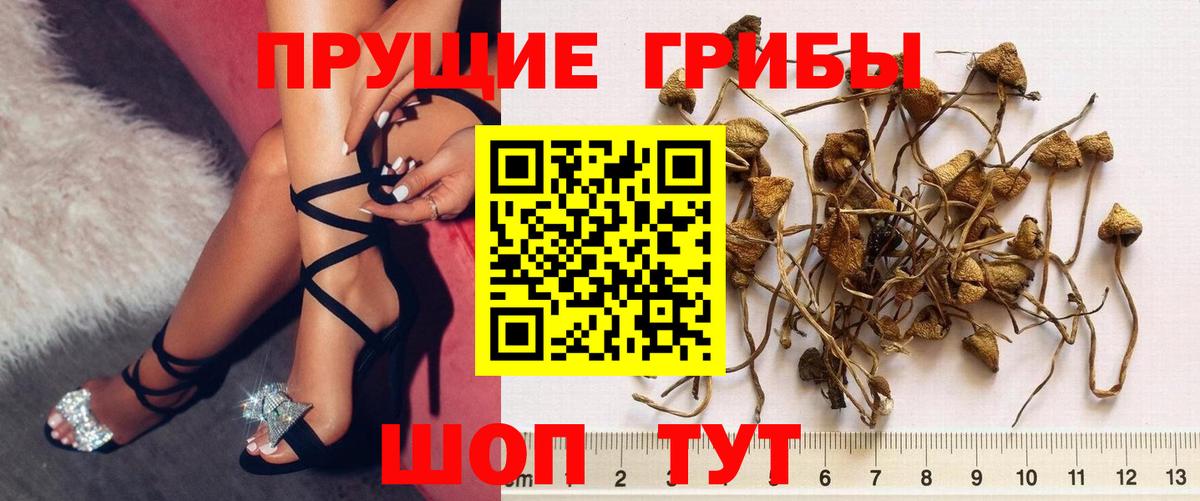 COCAIN Мариинск