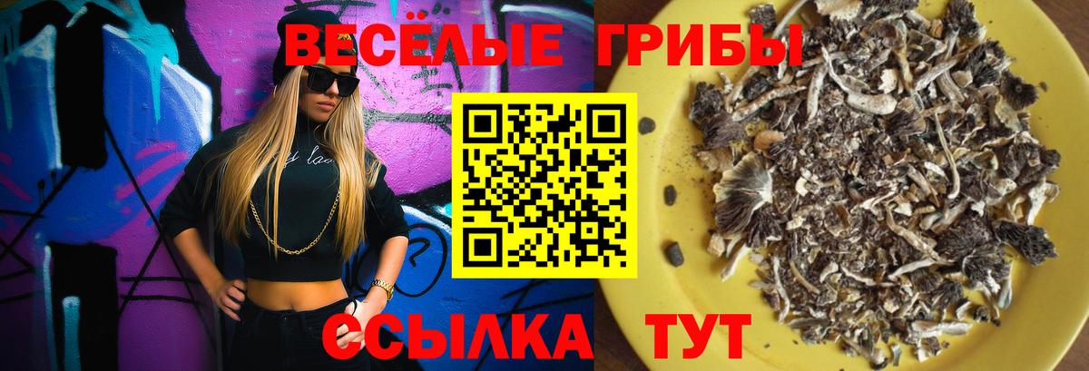 Псилоцибиновые грибы мицелий Мариинск