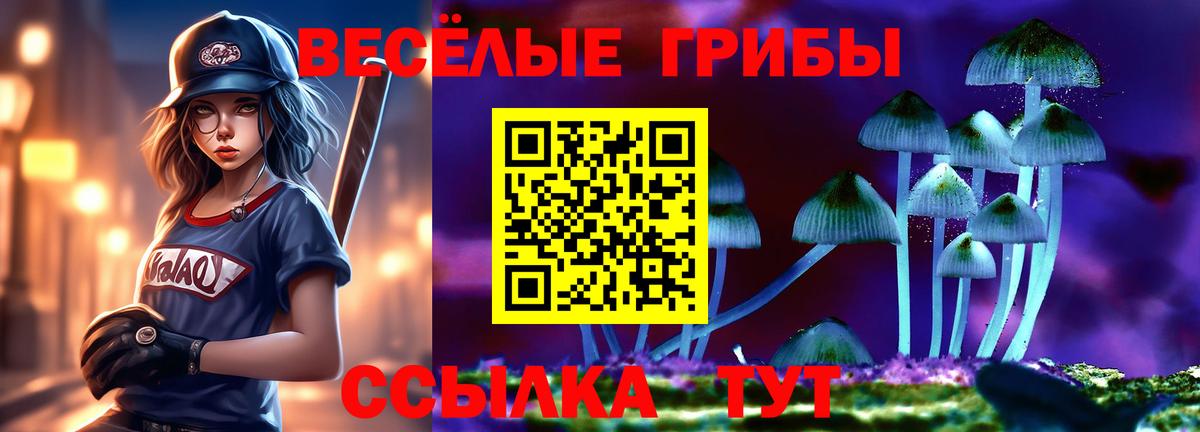 Галлюциногенные грибы ЛСД  Вход с VPN  Мариинск  Галлюциногенные грибы Psilocybine cubensis 